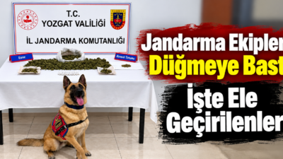 Yozgat İl Jandarma Komutanlığı ekiplerince il genelinde kaçakçılık ve narkotik