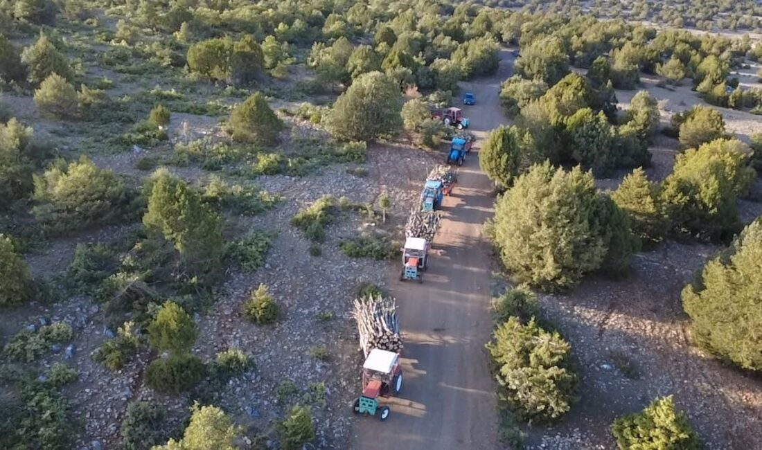 Yozgat’ın Çekerek ilçesine bağlı Kuruçay köyü sakinleri, kışlık odun ihtiyaçlarını