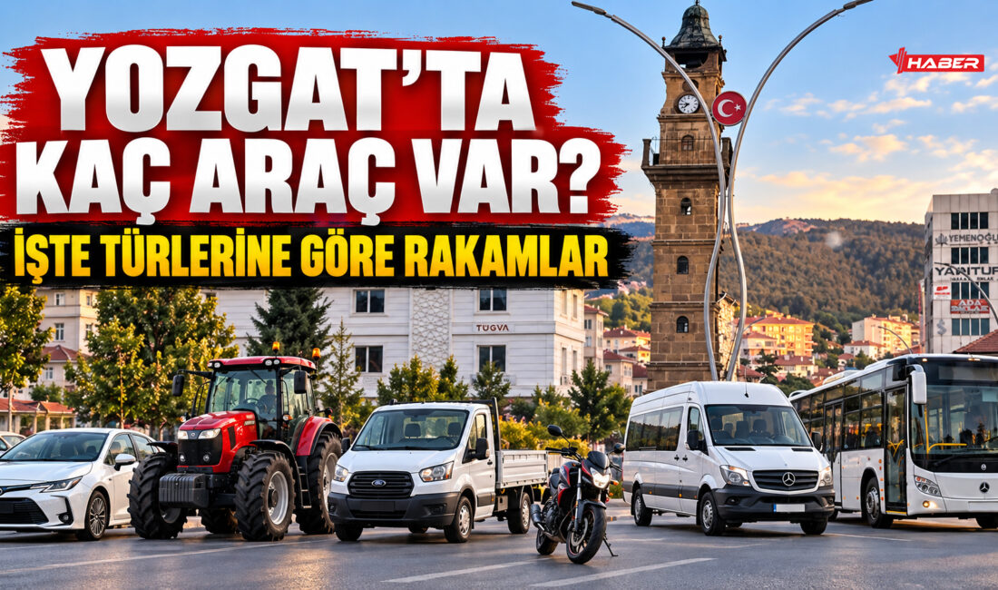 Türkiye İstatistik Kurumu (TÜİK) tarafından açıklanan Motorlu Kara Taşıtları verilerine