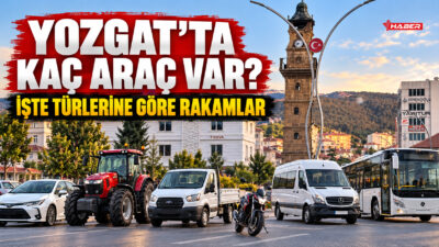 Türkiye İstatistik Kurumu (TÜİK) tarafından açıklanan Motorlu Kara Taşıtları verilerine