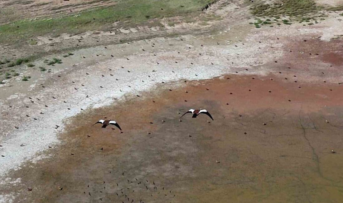 Yozgat’ın Yerköy ilçesine bağlı Çakırhacılı köyünde bulunan iki gölet, her