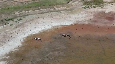 Yozgat’ın Yerköy ilçesine bağlı Çakırhacılı köyünde bulunan iki gölet, her