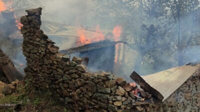Artvin’in Yusufeli ilçesine bağlı Bostancılar köyünün yaylasında, yıldırımın düşmesi sonucu