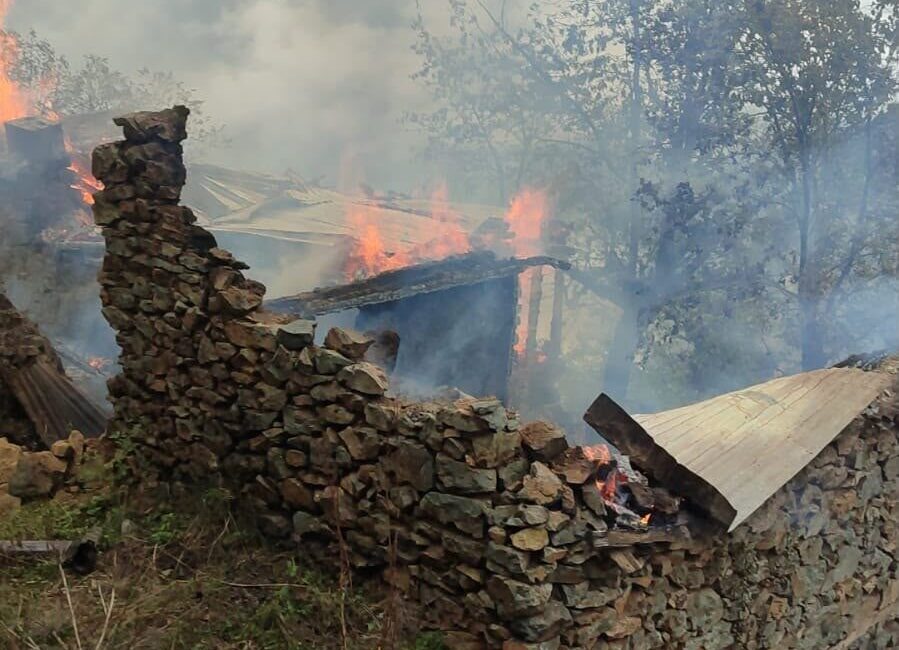 Artvin’in Yusufeli ilçesine bağlı Bostancılar köyünün yaylasında, yıldırımın düşmesi sonucu