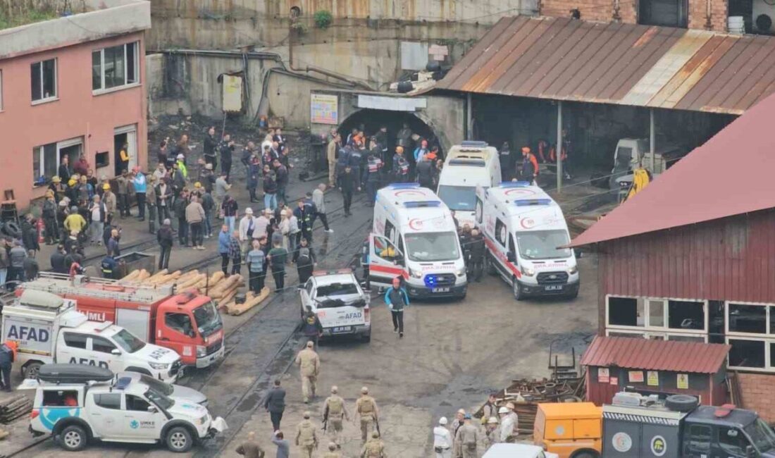 Zonguldak’ın Kilimli ilçesine bağlı Gelik beldesinde bulunan özel bir maden